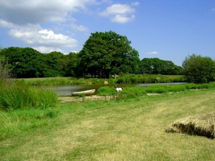 zobacz camping - zdjęcie 6