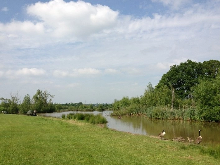 Blacklands Farm Caravan & Camping - zdjęcie 1