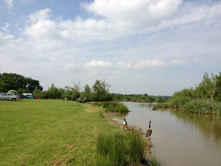 Blacklands Farm Caravan & Camping - zdjęcie 1