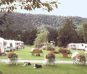 Bodnant Caravan Park - zdjęcie 3