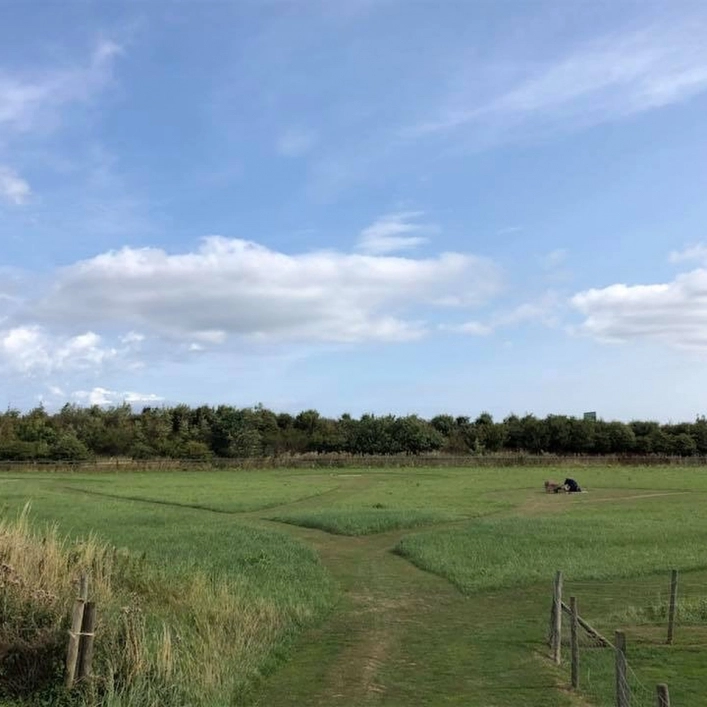 zobacz camping - zdjęcie 4