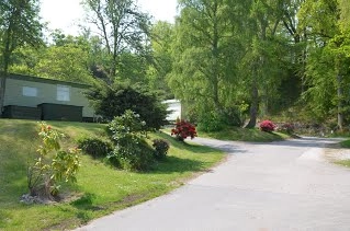 zobacz camping - zdjęcie 18