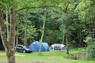 Burnside Caravan Site - zdjęcie 1