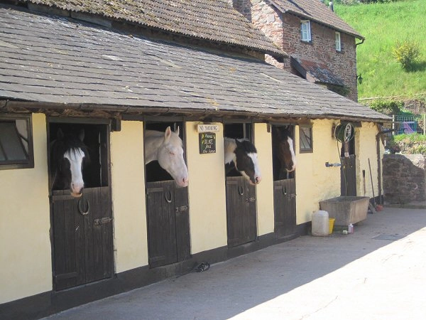 zobacz camping - zdjęcie 6