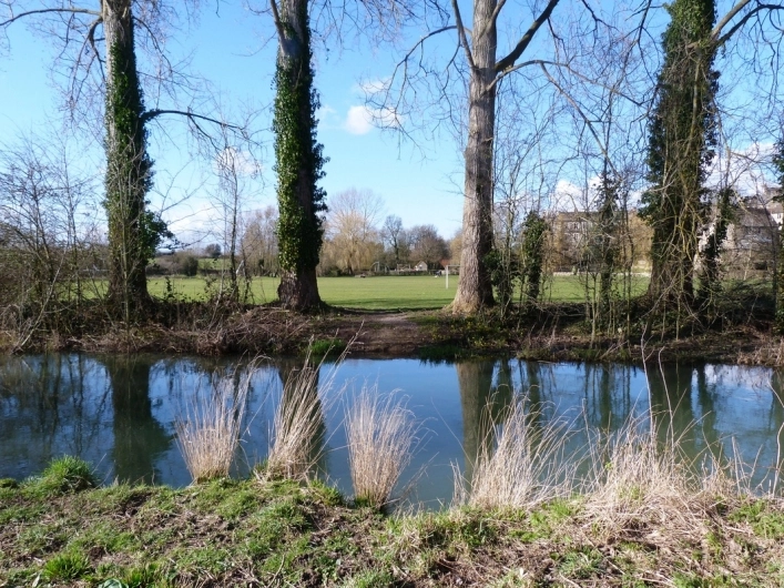 Burton Hill Caravan and Camping Park - zdjęcie 3