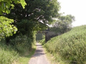 zobacz camping - zdjęcie 7