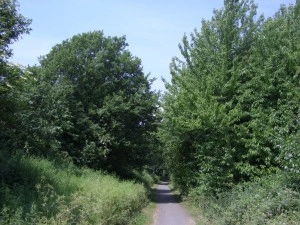 zobacz camping - zdjęcie 4