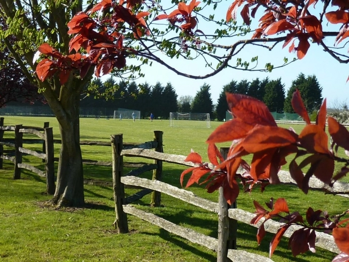 zobacz camping - zdjęcie 5