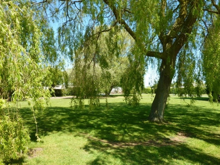 zobacz camping - zdjęcie 3