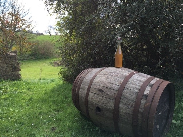 Camping Batcombe Vale - zdjęcie 2