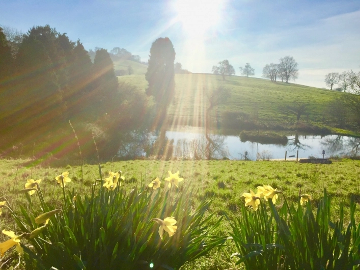 Camping Batcombe Vale - zdjęcie 1