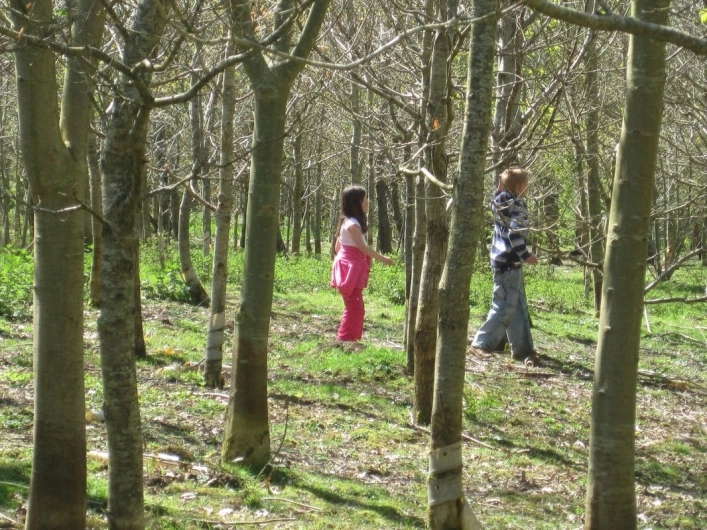 zobacz camping - zdjęcie 8