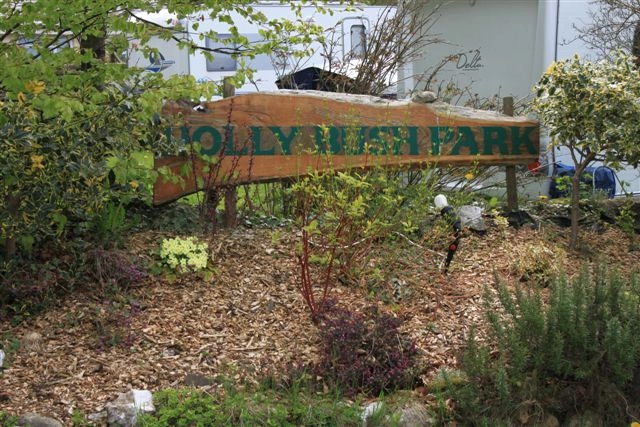 zobacz camping - zdjęcie 6