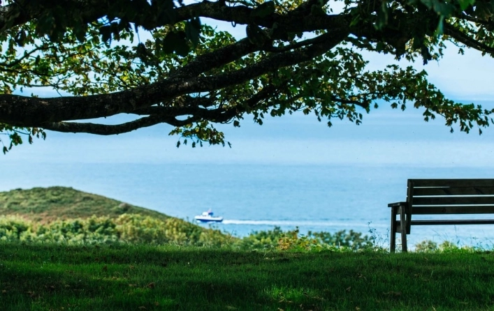 zobacz camping - zdjęcie 6