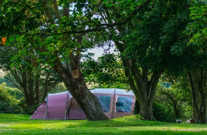 zobacz camping - zdjęcie 2