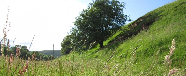 zobacz camping - zdjęcie 7