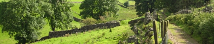 zobacz camping - zdjęcie 5