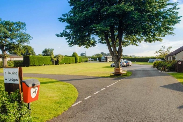 zobacz camping - zdjęcie 7