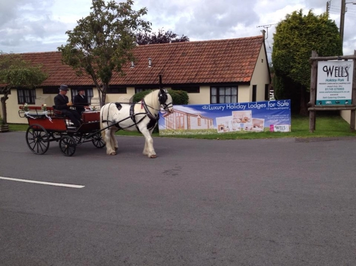 Camping Wells Holiday Park - zdjęcie 3