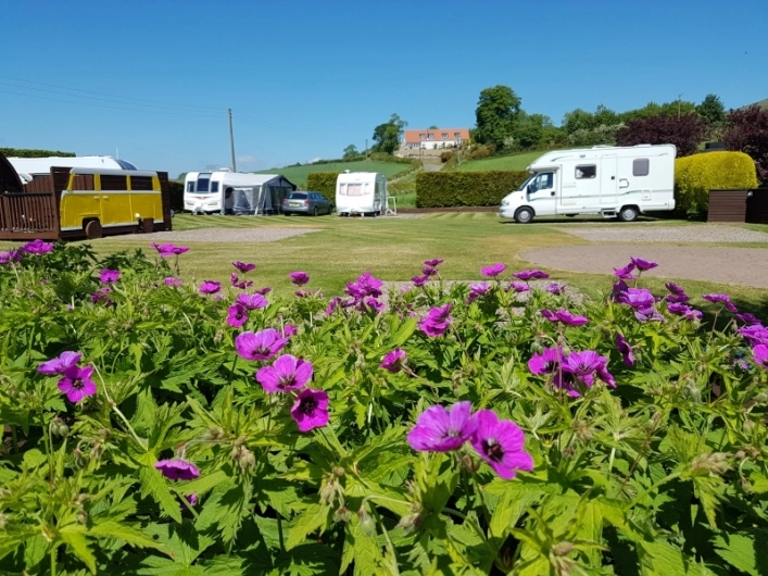 zobacz camping - zdjęcie 23