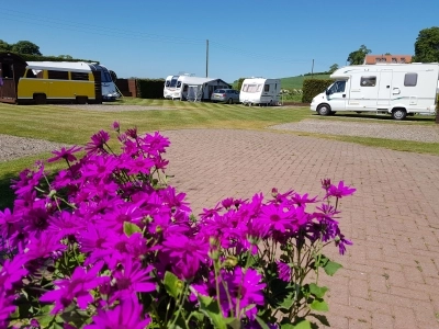 zobacz camping - zdjęcie 7