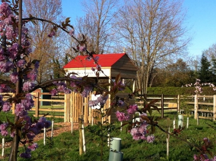 zobacz camping - zdjęcie 6