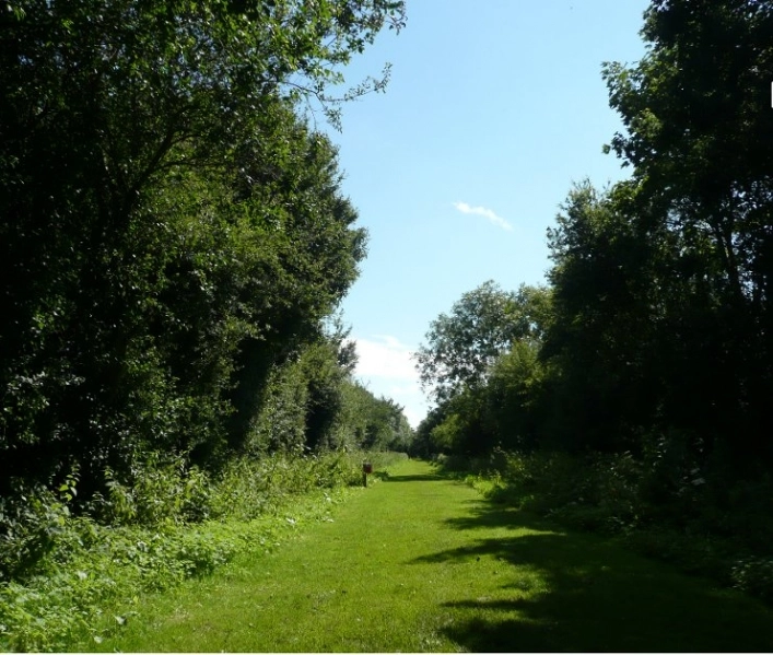 Campsite Black Bull - zdjęcie 1