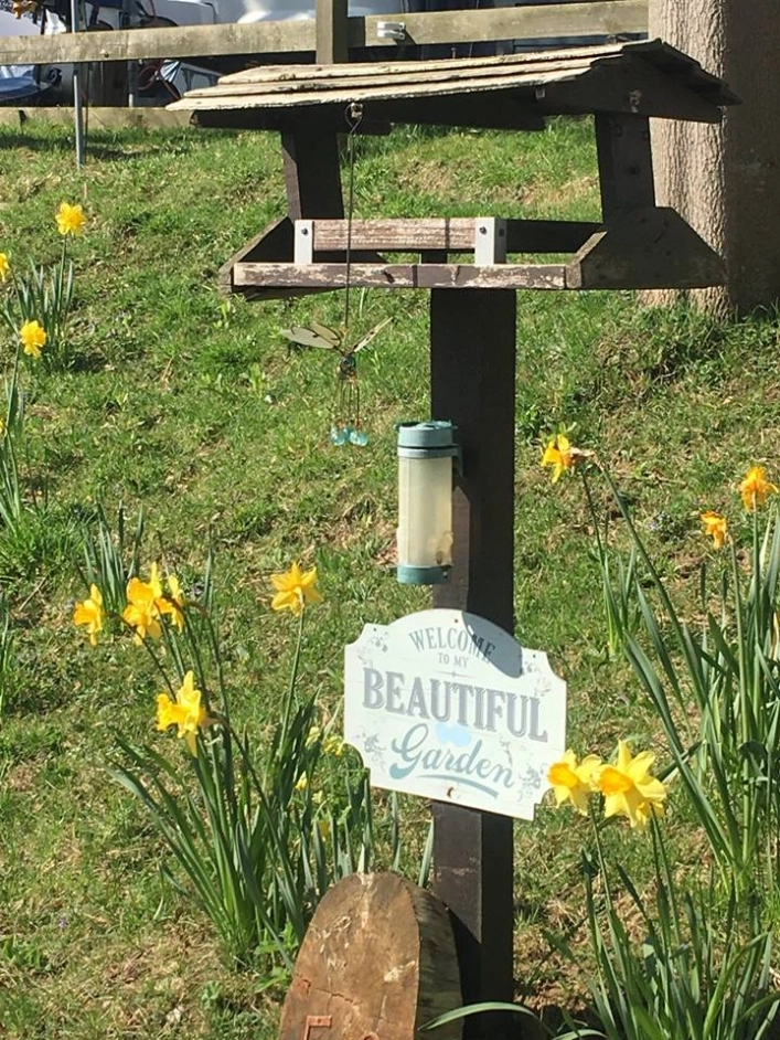 Campsite St. Helens in the Park - zdjęcie 1