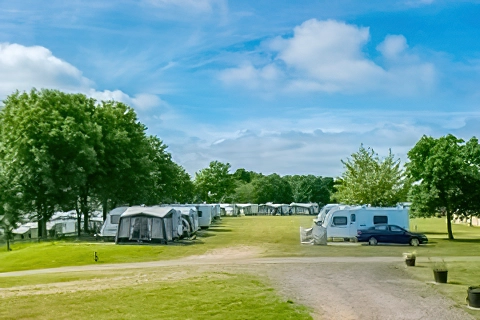 Campsite St. Helens in the Park
