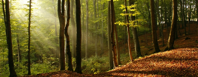 zobacz camping - zdjęcie 9