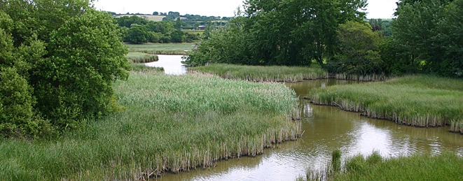 zobacz camping - zdjęcie 8