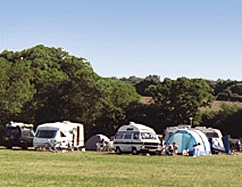 zobacz camping - zdjęcie 6