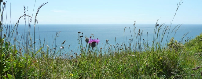 Carpenters Farm - zdjęcie 4