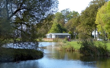 Castle Cary Holiday Park - zdjęcie 4