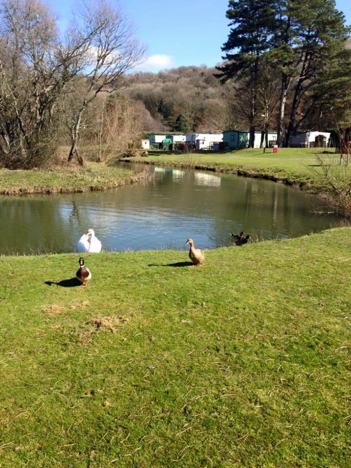 Castle Cary Holiday Park - zdjęcie 2