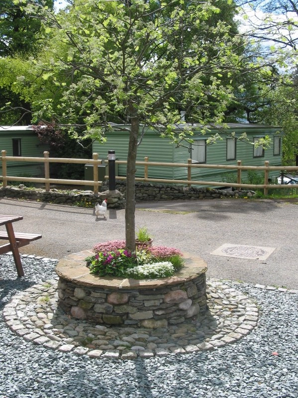 zobacz camping - zdjęcie 9