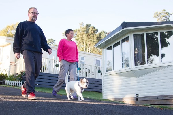 zobacz camping - zdjęcie 10