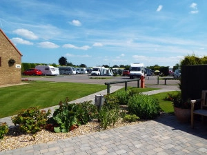 Cherry Tree Site - zdjęcie 1