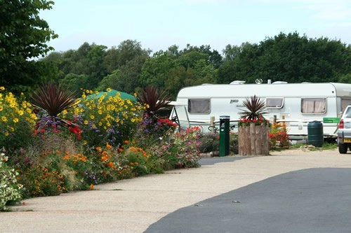 zobacz camping - zdjęcie 11