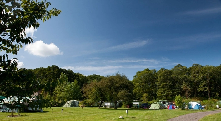 zobacz camping - zdjęcie 8