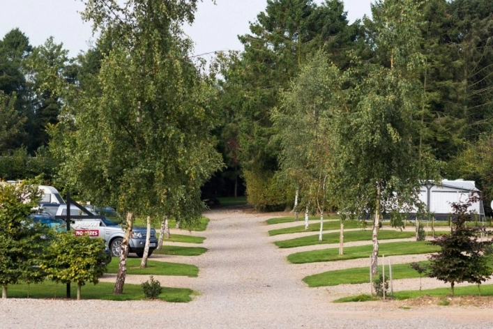 zobacz camping - zdjęcie 15