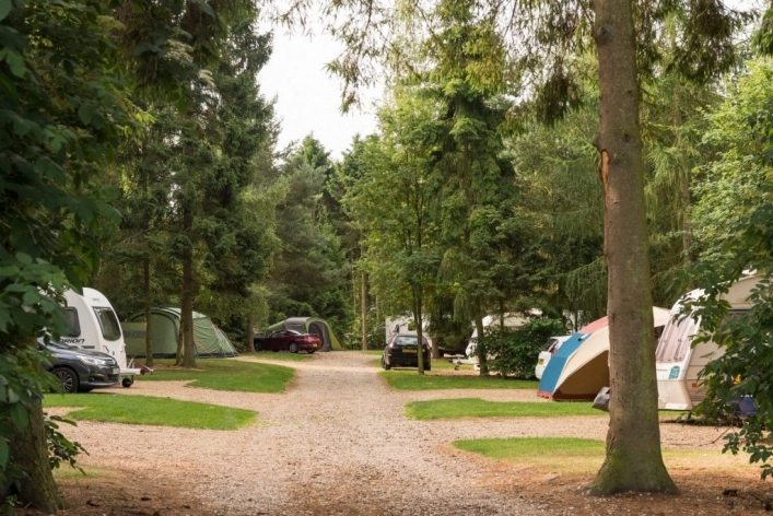 zobacz camping - zdjęcie 9