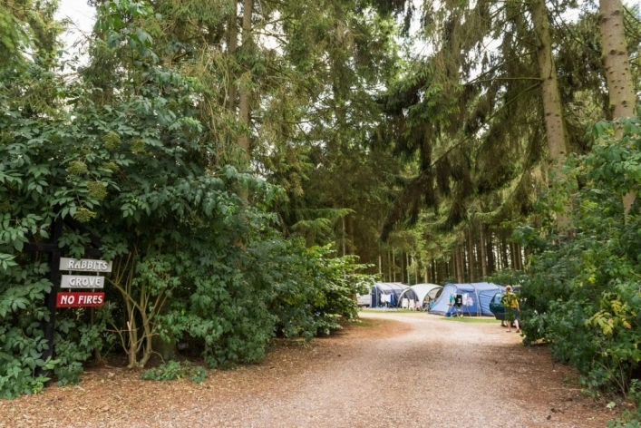 zobacz camping - zdjęcie 3