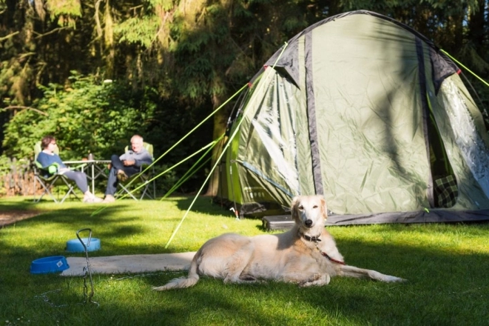 Clippesby Hall - zdjęcie 1