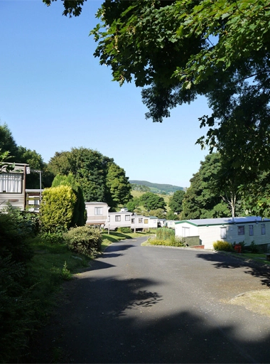 zobacz camping - zdjęcie 17