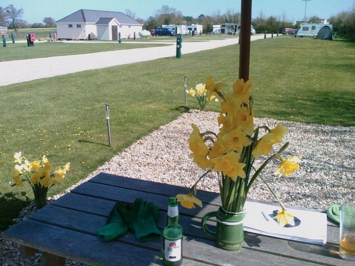 zobacz camping - zdjęcie 10