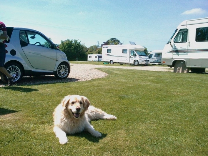 zobacz camping - zdjęcie 5