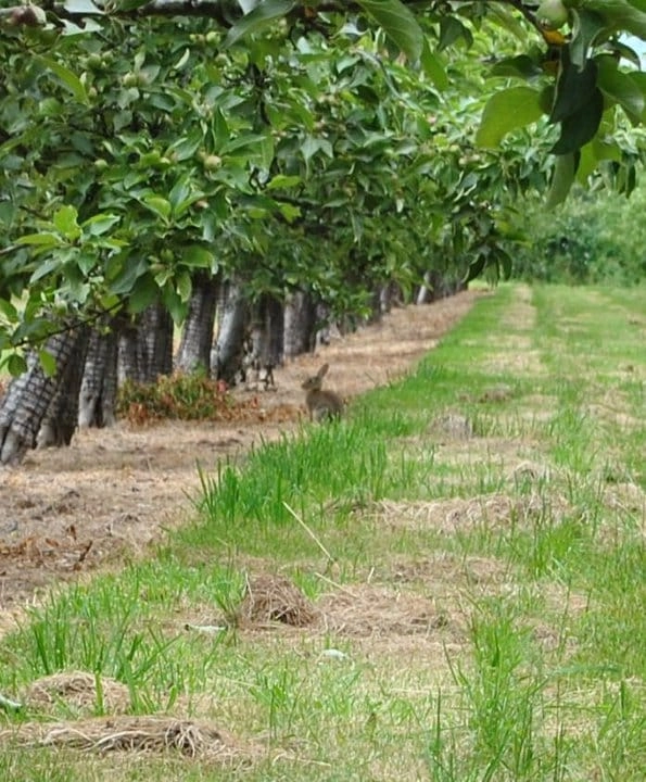 zobacz camping - zdjęcie 1