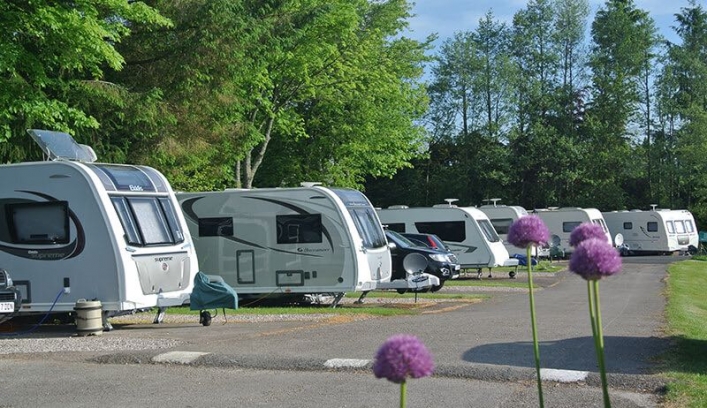 Cove Caravan And Camping Park
