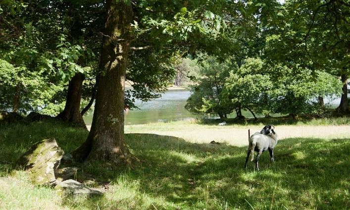 Crake Valley Holiday Park - zdjęcie 1